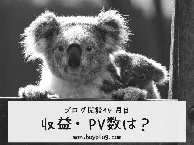 ブログ4ヶ月目の収益・PV数は